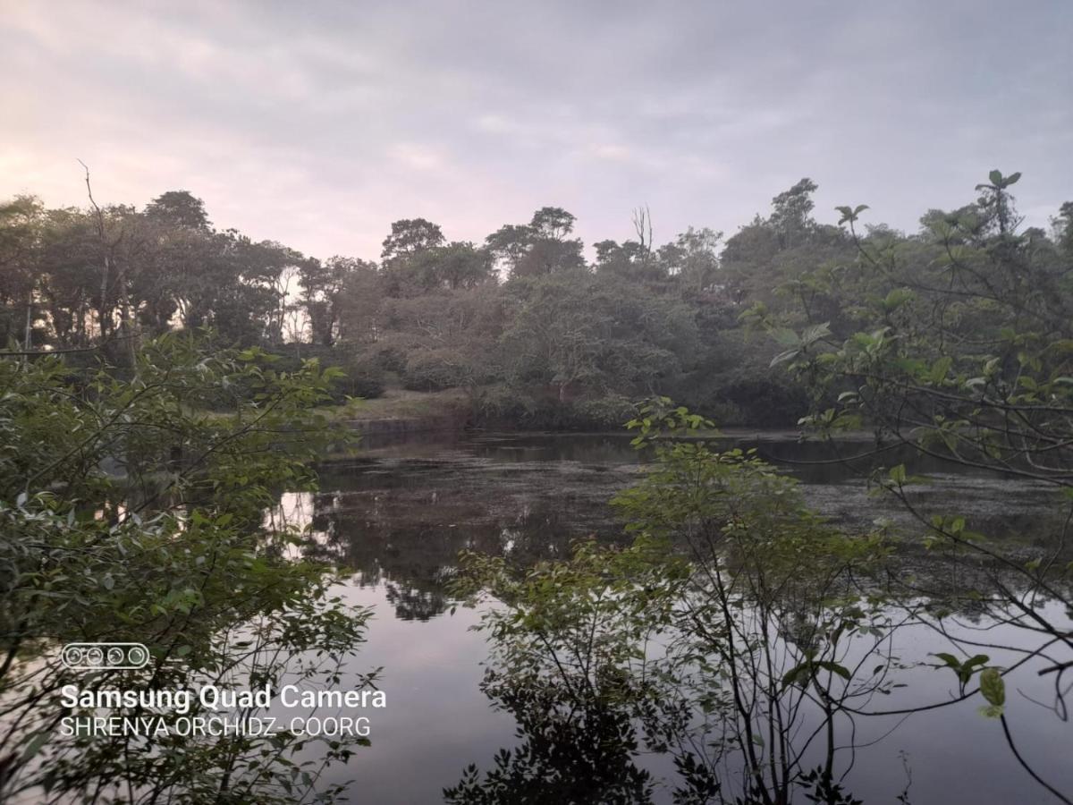 Shrenya Orchidz-Coorg Nature Stay Madikeri Exterior foto